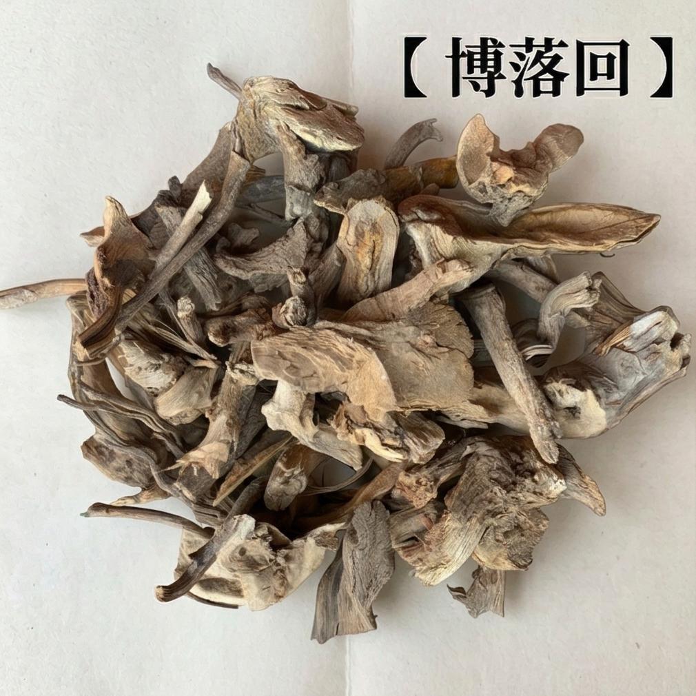 博落回