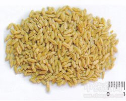 浮小麦