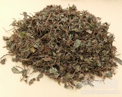 马蹄金