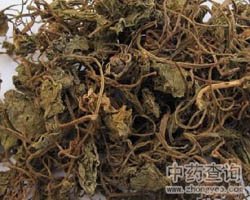 青天葵