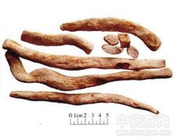 山药