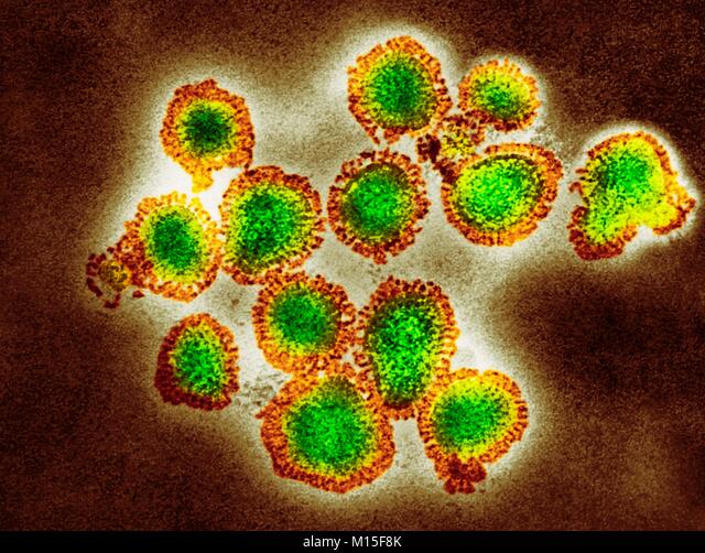 甲型H3N2亚型流感病毒仍占流行优势